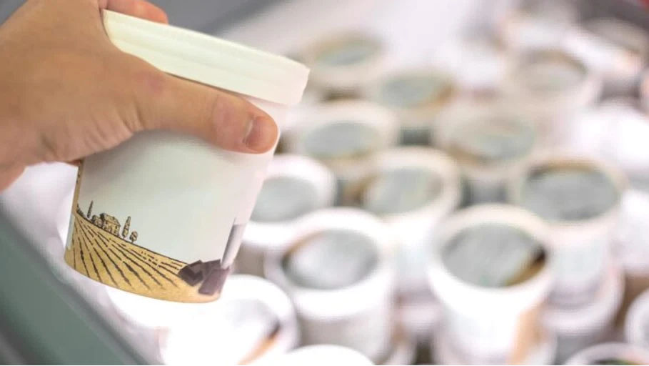 Paper ice cream cups 3 Paper ice cream cups 3